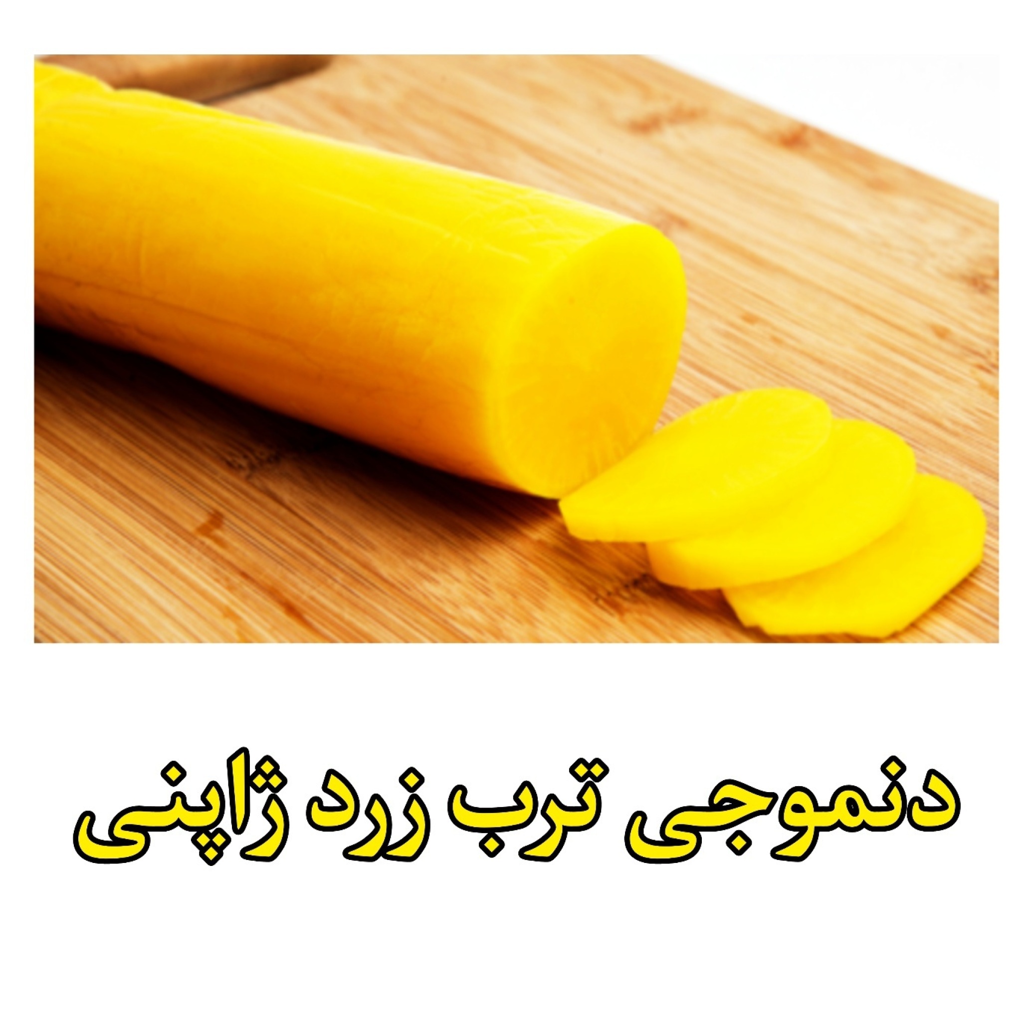  دنموجی ترب زرد 